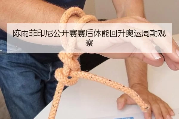 陈雨菲印尼公开赛赛后体能回升奥运周期观察