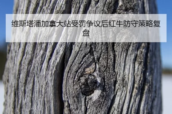 wei-si-ta-pan-jia-na-da-zhan-shou-fa-zheng-yi-hou-hong-niu-fang-shou-ce-lve-fu-pan-2-761.jpg