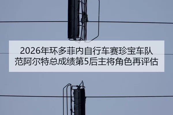 nian-huan-duo-fei-nei-zi-xing-che-sai-zhen-bao-che-dui-fan-a-er-te-zong-cheng-ji-di-hou-zhu-jiang-jue-se-zai-ping-gu-2-386.jpg